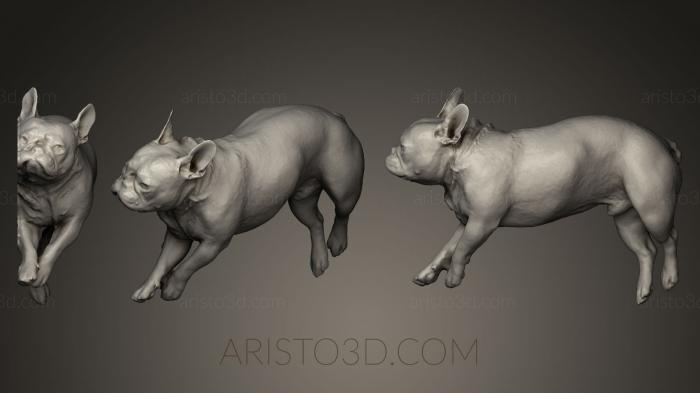 Animal figurines (STKJ_0235) 3D model for CNC machine
